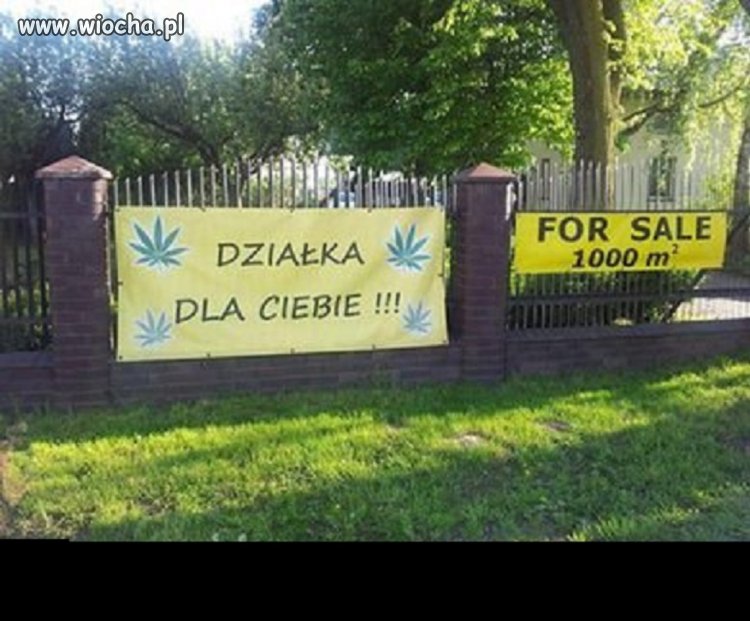 Polak za granicą
