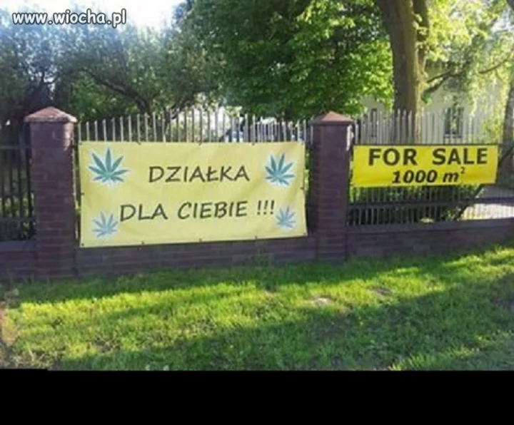 Polak za granicą