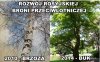 Rozwój rosyjskiej broni przeciwlotniczej