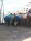Ogórek, ogórek, ogórek, Zielony ma garniturek