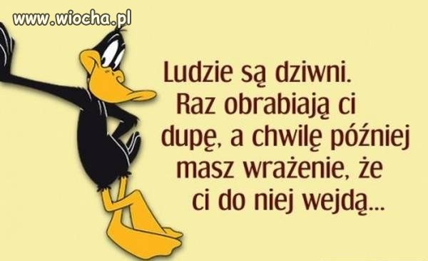 Jakież to ludzkie...