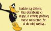 Jakież to ludzkie...
