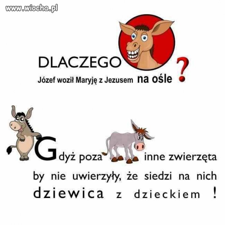 Taki mały dowcip 