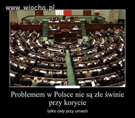 Podziękujcie sobie sami.