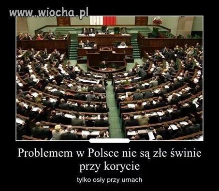 Podziękujcie sobie sami.