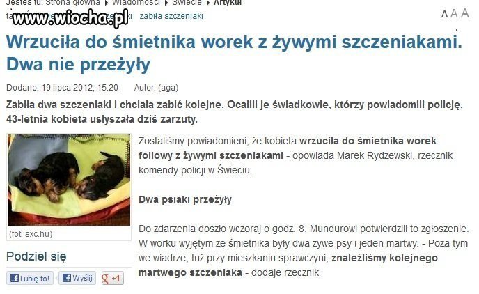 Wyrzucenie szczeniaków do śmietnika...