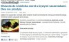 Wyrzucenie szczeniaków do śmietnika...