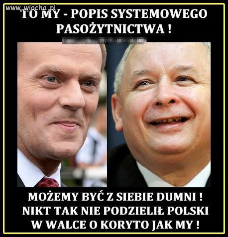 Oni się biją a my liczymy siniaki...