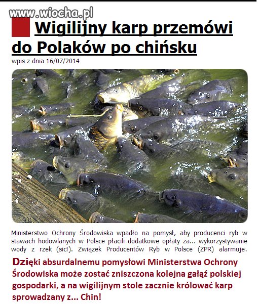  Karp przemówi do Polaków po chińsku