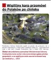  Karp przemówi do Polaków po chińsku