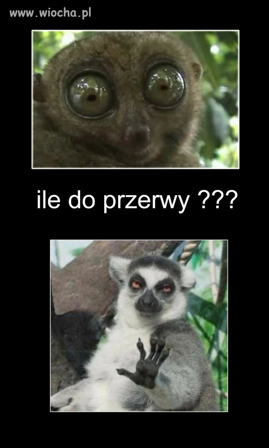Nie wiem jak to opisać