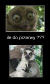 Nie wiem jak to opisać