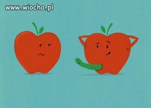 Li tylko solidna porcja jabłek,