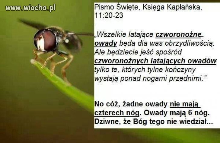Taka ciekawostka...