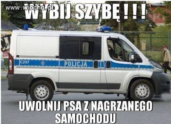 Trzeba sobie pomagać ...
