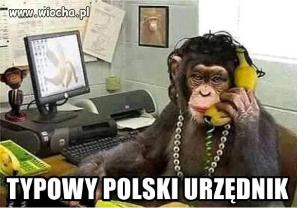 Opis raczej 