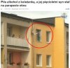 Mamusia