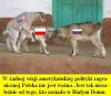 Czy Polske zawsze