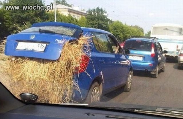 Wzorzec "Moto wiochy"