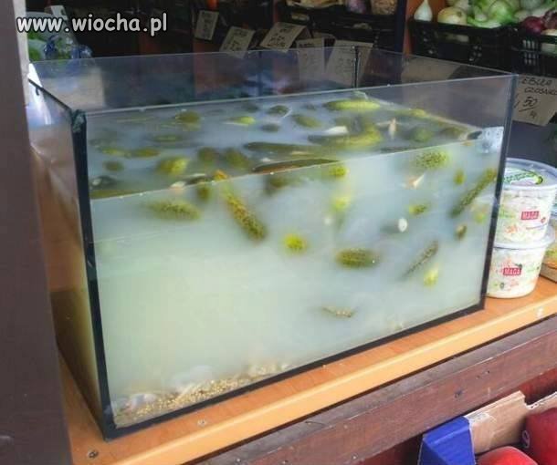 W razie czego zagrycha jest na wyciągnięcie ręki 