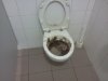 Nowa praca 