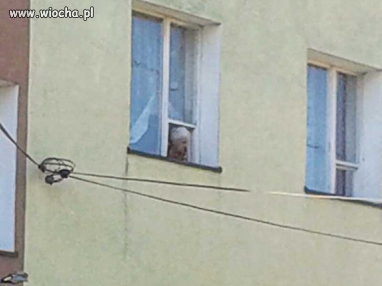 Monitoring