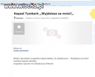 Oryginalny kapsel tymbarka 