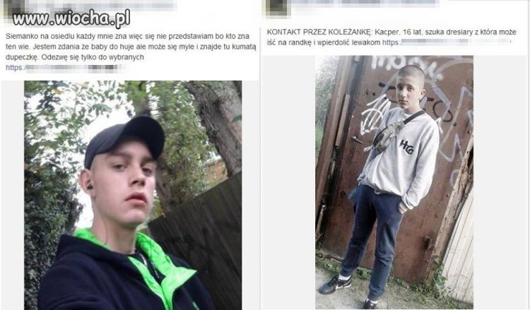 Dres szuka kumatej
