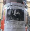 Dziwny ten kot