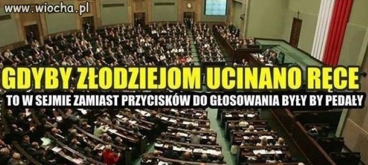 Takich to mamy tych polityków 