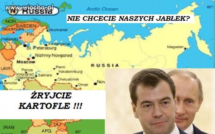 Niech żrą swoje dzikie jabłka 