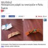 Pułapki w Parku Śląskim