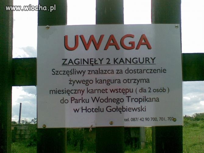 Tytuł wyskoczył !