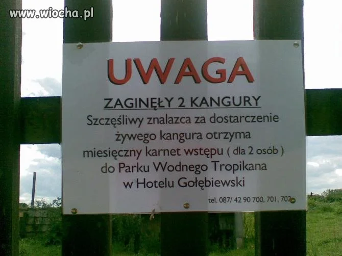 Tytuł wyskoczył !