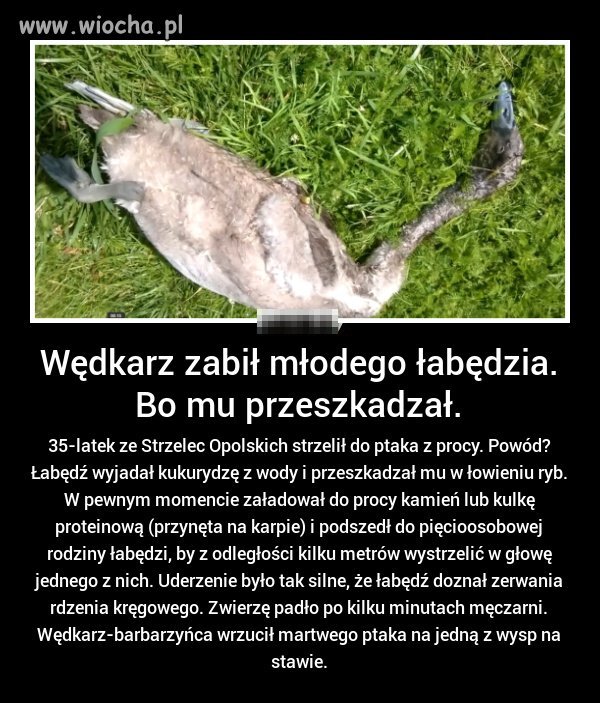 Lepiej jakby