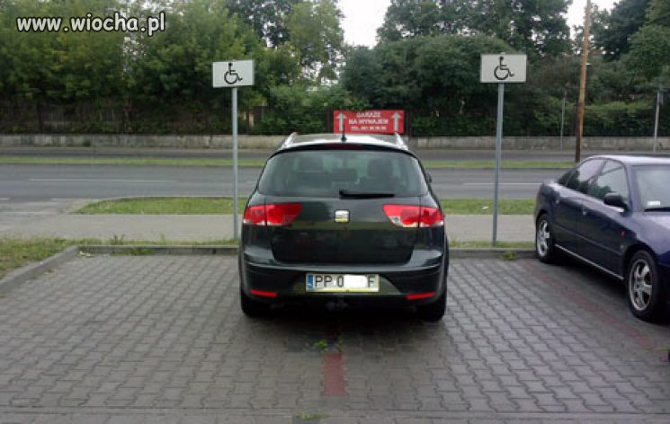 Święta krowa