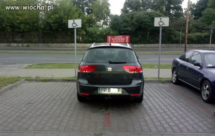 Święta krowa