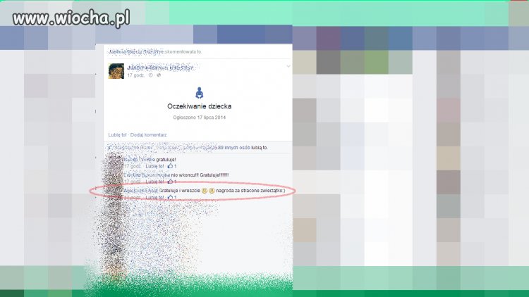 Gratulację godne głównej...