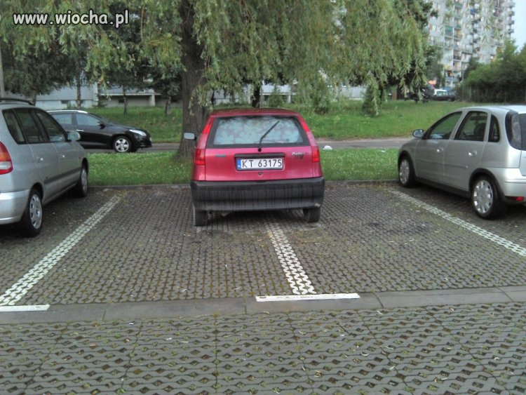 Mistrz parkowania