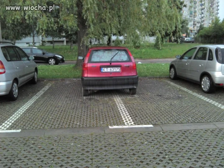 Mistrz parkowania