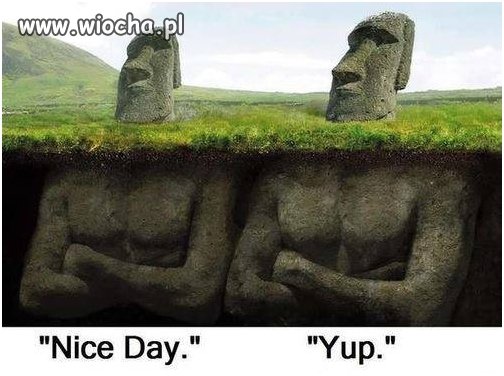  "A więc to tak wygląda! "