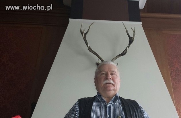 Miał być złoty róg