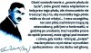 Nic do dodania...