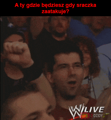 No właśnie gdzie