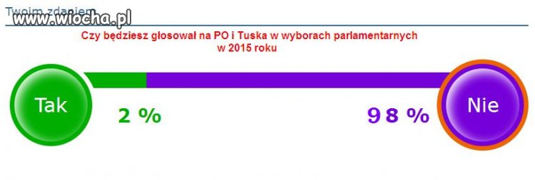Tak głosuje prawdziwy PATRIOTA
