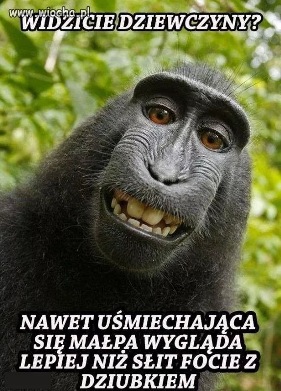 Racja!