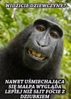 Racja!