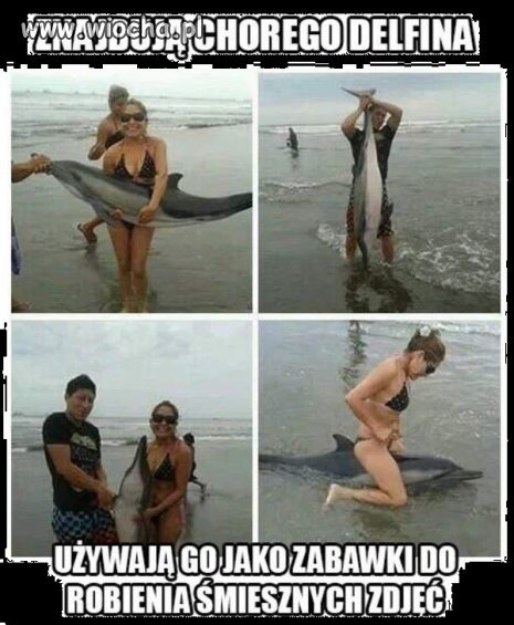 Czasami mi wstyd  za nasz gatunek