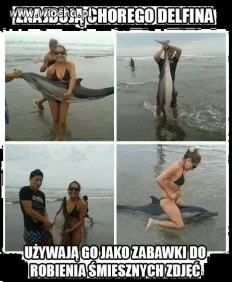 Czasami mi wstyd  za nasz gatunek