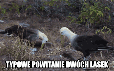 Nic z niczego się nie wzięło ...